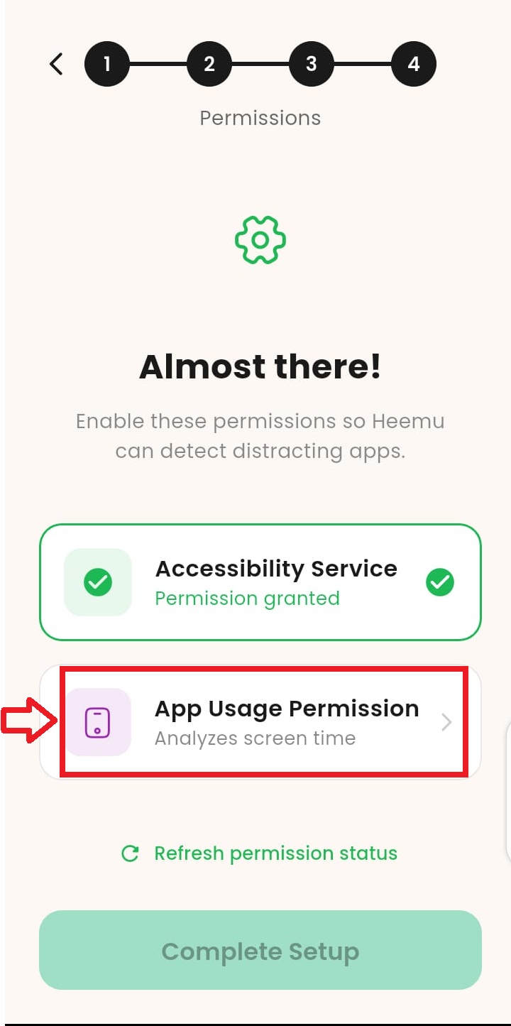 App Usage Permission card